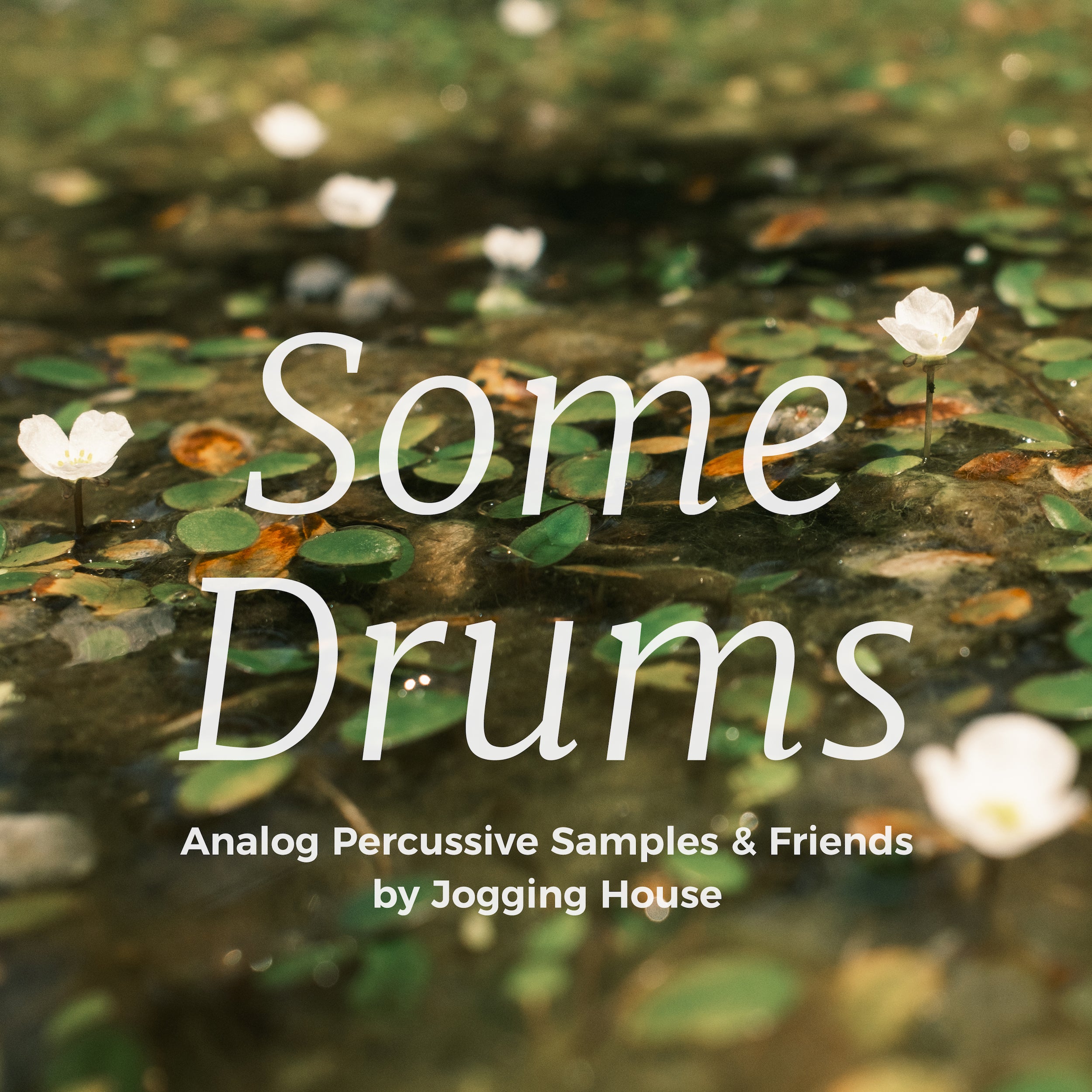 Some Drums (Percussive Samples, Drones & Ableton Drum Racks