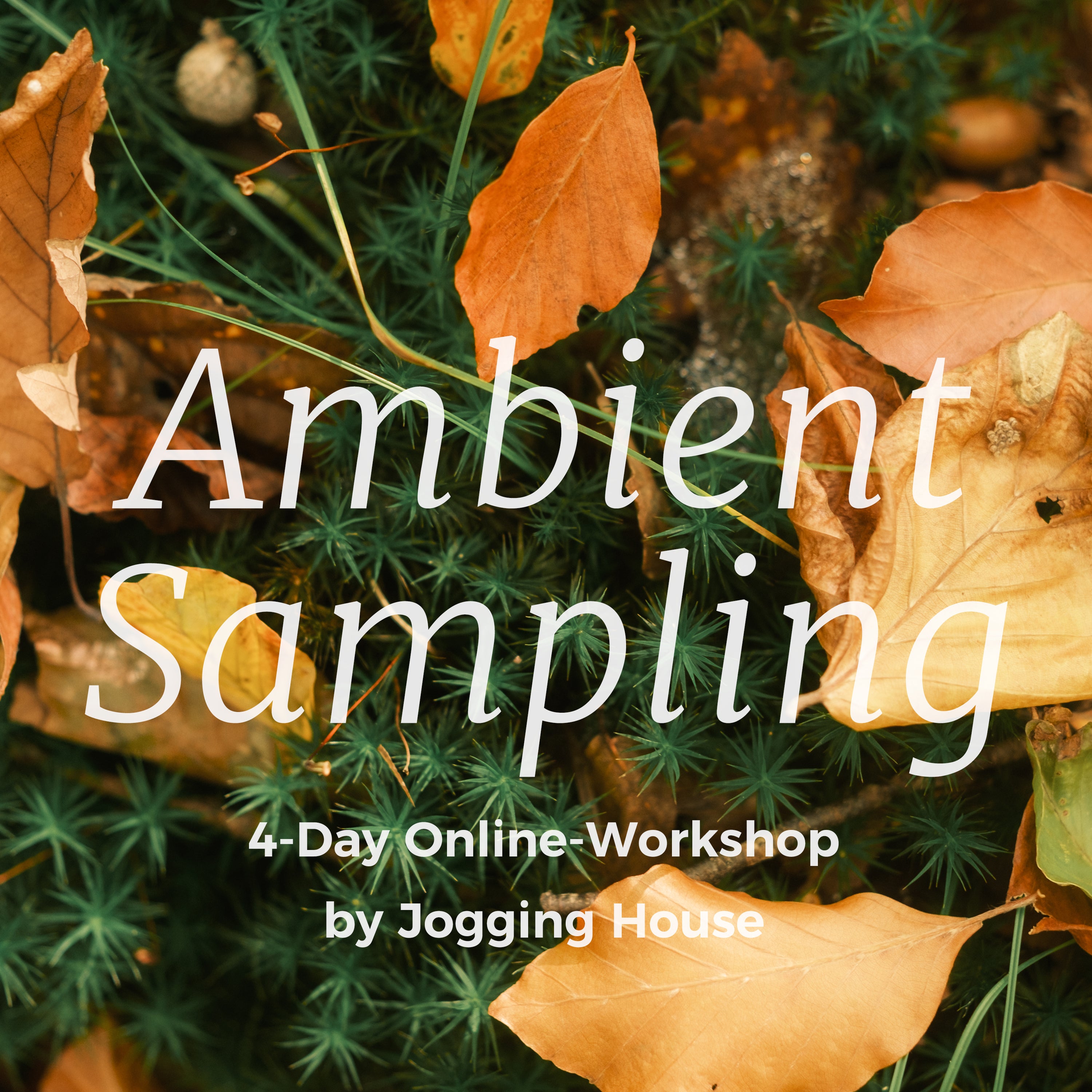 Ambient Sampling (4-Day Online-Workshop) – Jogging House