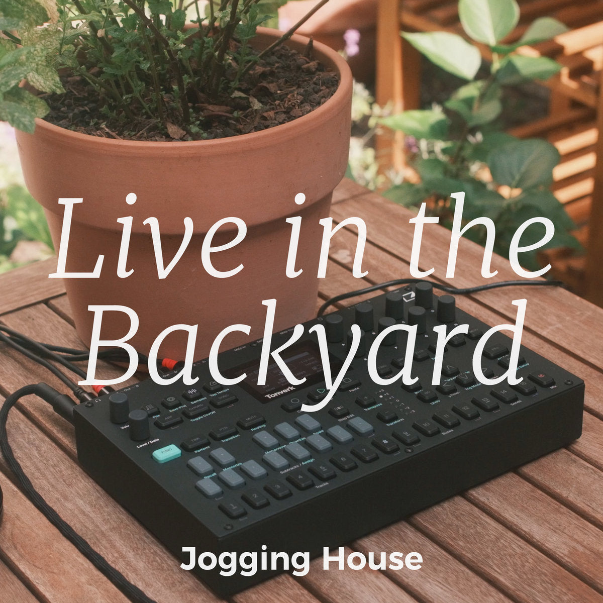 Live in the Backyard